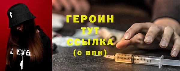 шишки Арсеньев
