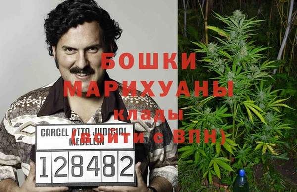 шишки Арсеньев