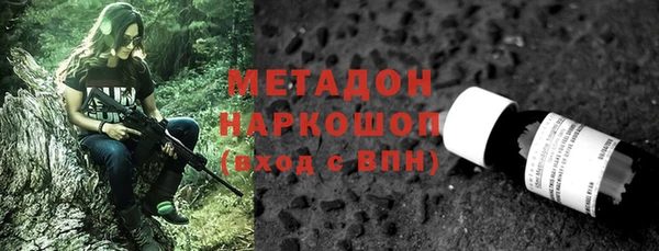 шишки Арсеньев