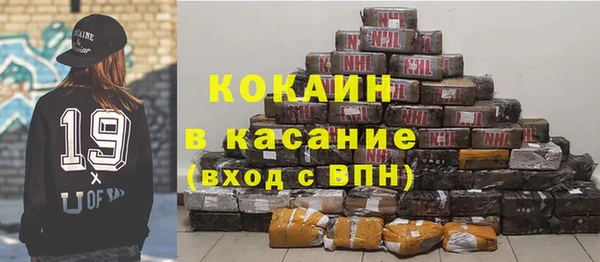 шишки Арсеньев